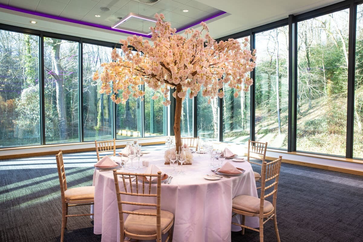 Wedding Event Setup