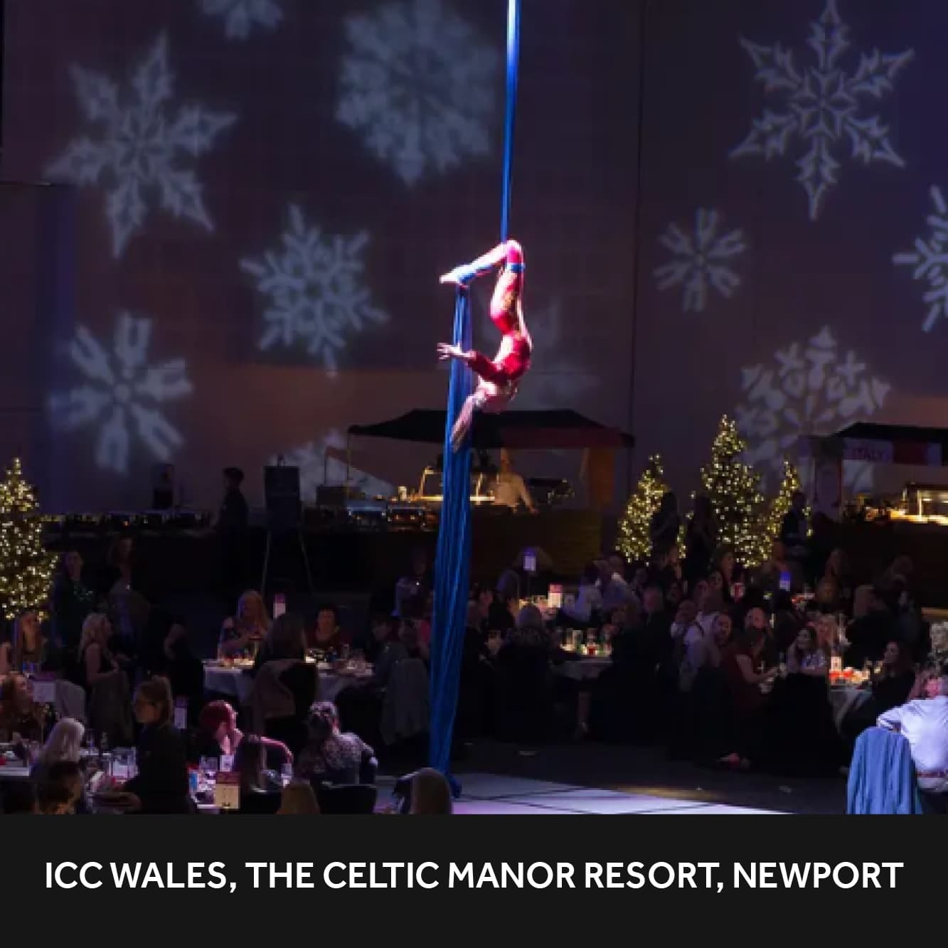 Christmas Private Parties