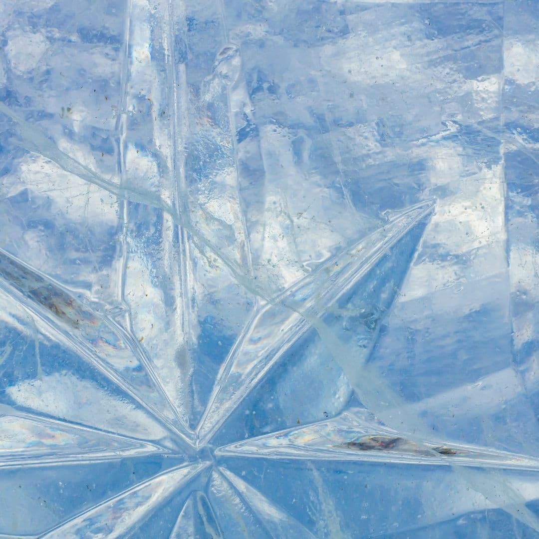 Ice Sculpture